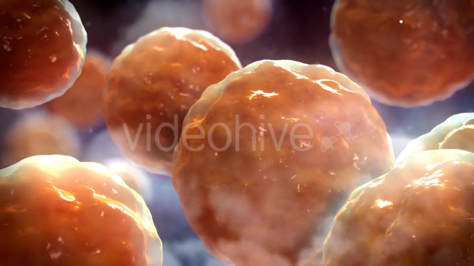 Floating Cells Background Videohive 12669869 Motion Graphics Image 6