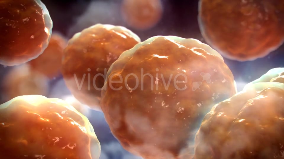 Floating Cells Background Videohive 12669869 Motion Graphics Image 7