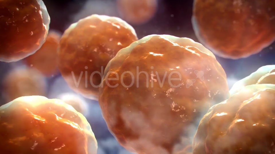 Floating Cells Background Videohive 12669869 Motion Graphics Image 8