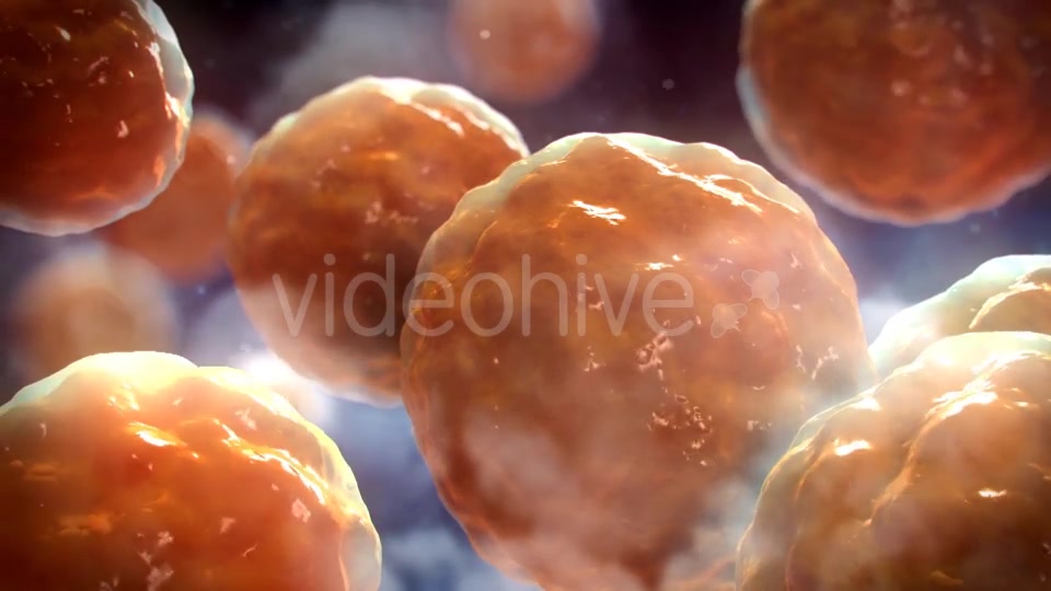 Floating Cells Background Videohive 12669869 Motion Graphics Image 9