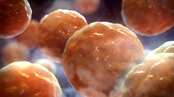 Floating Cells Background - Videohive Download 12669869
