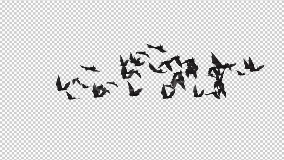 Flock of Bats Angle Flying I Left to Right Videohive 18162851 Motion Graphics Image 4
