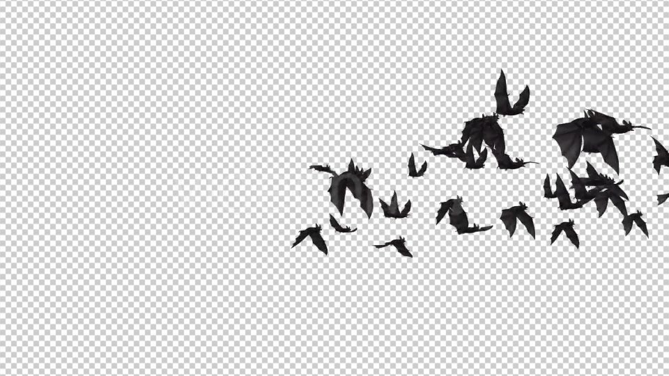 Flock of Bats Angle Flying I Left to Right Videohive 18162851 Motion Graphics Image 5