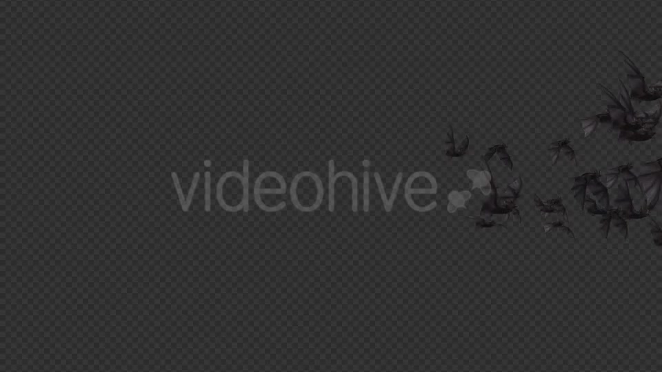 Flock of Bats Angle Flying I Left to Right Videohive 18162851 Motion Graphics Image 6