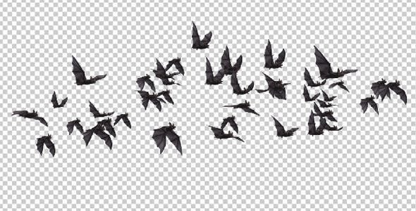 Flock of Bats Angle Flying I Left to Right - Videohive Download 18162851