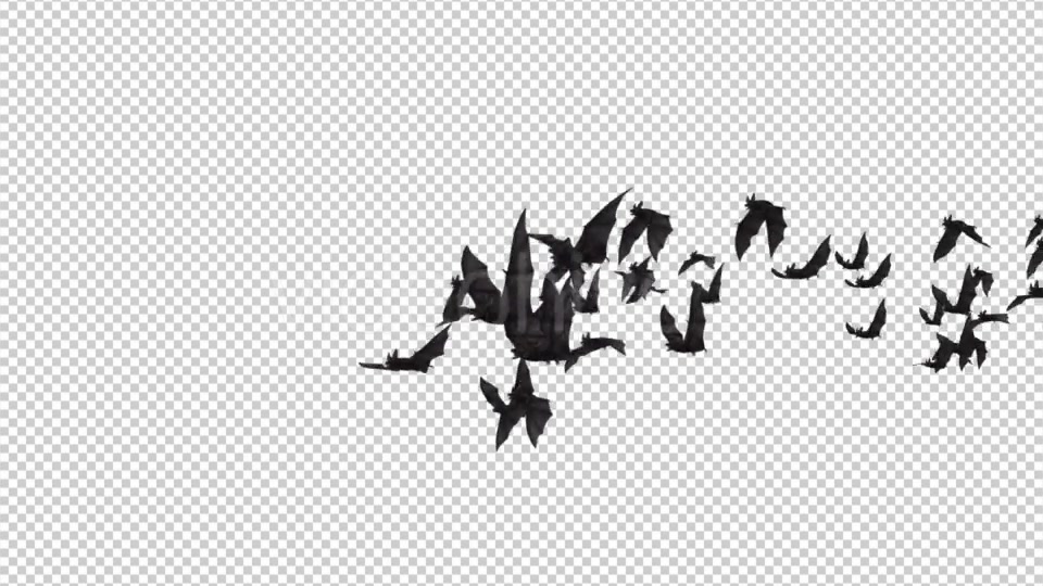 Flock of Bats Angle Flying II Right to Left Videohive 18162858 Motion Graphics Image 3