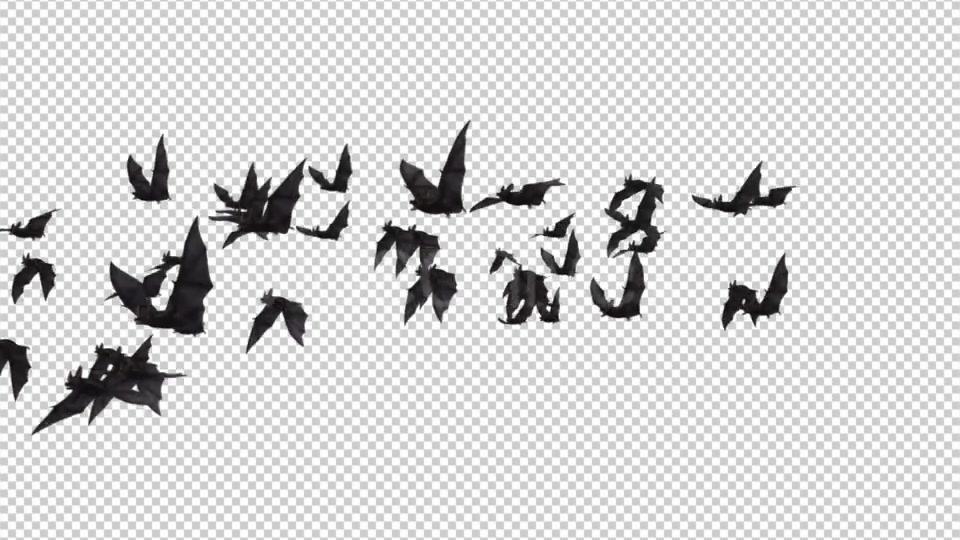 Flock of Bats Angle Flying II Right to Left Videohive 18162858 Motion Graphics Image 4
