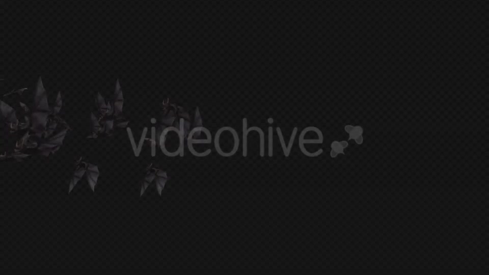 Flock of Bats Angle Flying II Right to Left Videohive 18162858 Motion Graphics Image 5