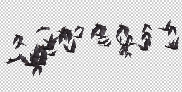 Flock of Bats Angle Flying II Right to Left - Videohive 18162858 Download