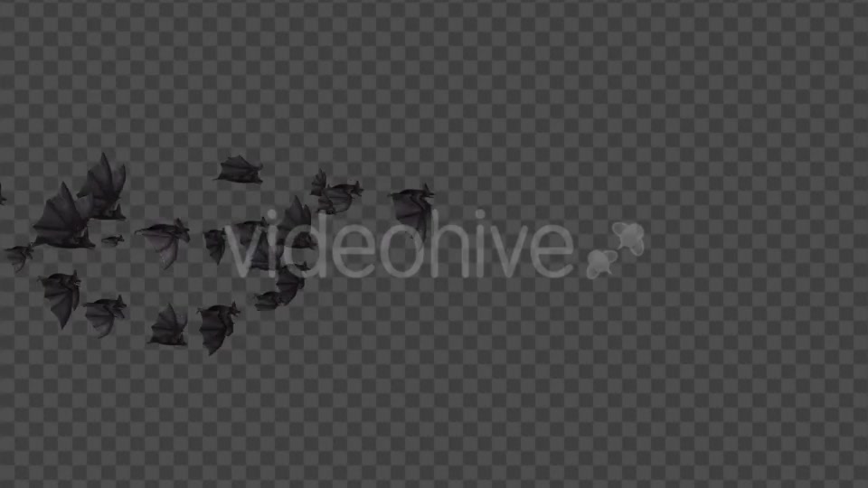 Flock of Bats Side Flying I Left to Right Videohive 18162783 Motion Graphics Image 3