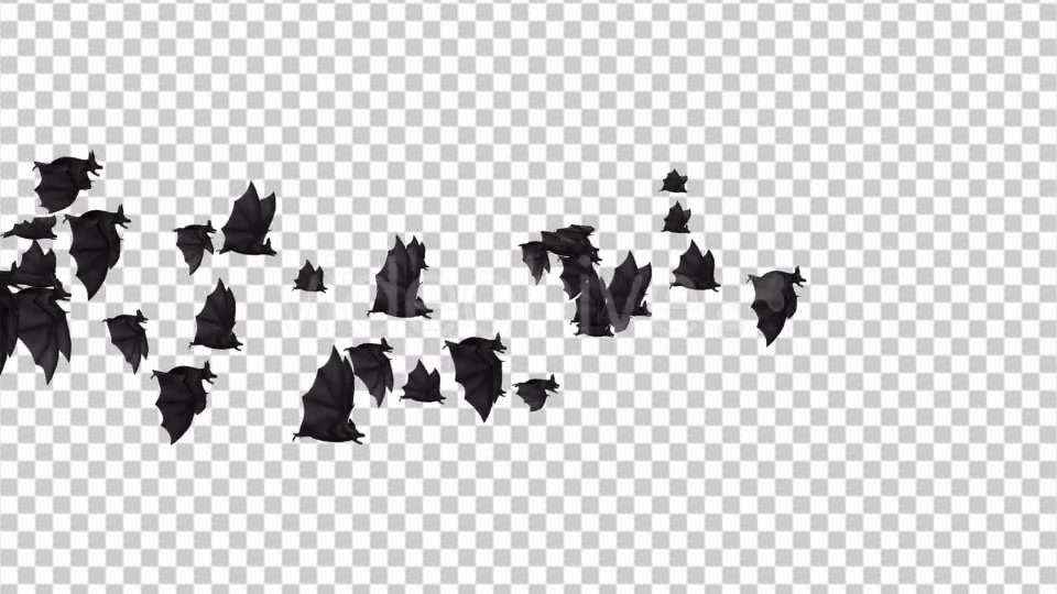 Flock of Bats Side Flying I Left to Right Videohive 18162783 Motion Graphics Image 4