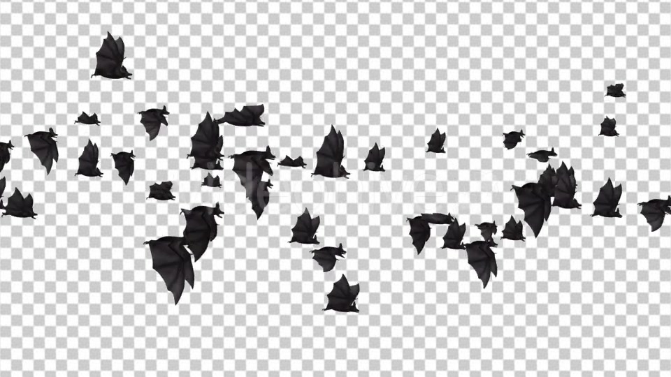 Flock of Bats Side Flying I Left to Right Videohive 18162783 Motion Graphics Image 5