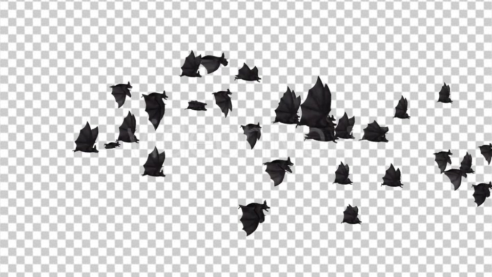 Flock of Bats Side Flying I Left to Right Videohive 18162783 Motion Graphics Image 6
