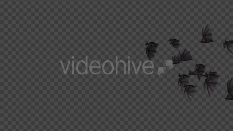 Flock of Bats Side Flying II Right to Left Videohive 18162795 Motion Graphics Image 2