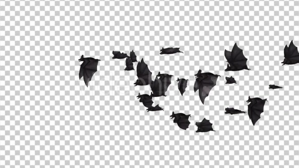 Flock of Bats Side Flying II Right to Left Videohive 18162795 Motion Graphics Image 3