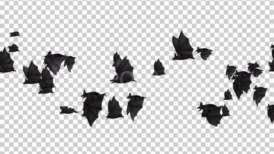 Flock of Bats Side Flying II Right to Left Videohive 18162795 Motion Graphics Image 4