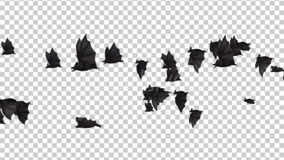 Flock of Bats Side Flying II Right to Left Videohive 18162795 Motion Graphics Image 5