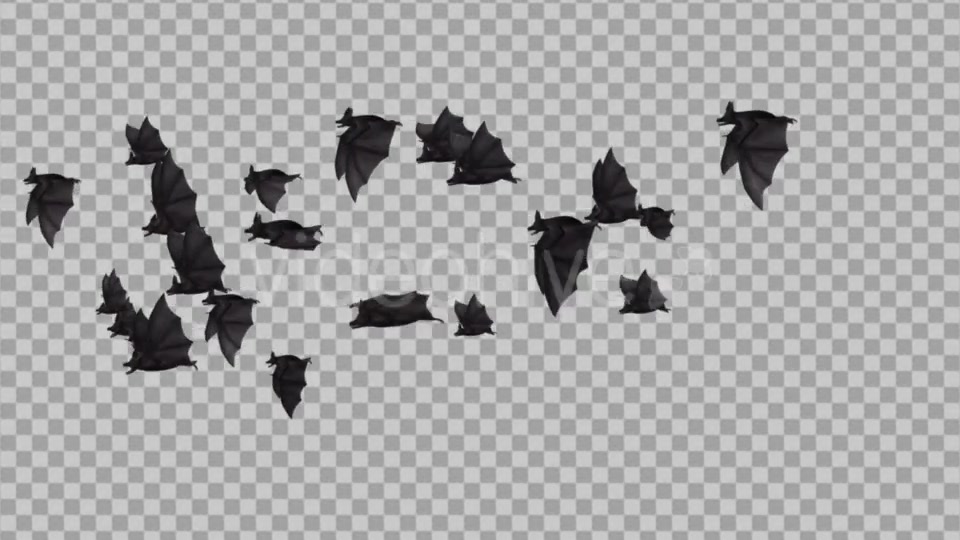 Flock of Bats Side Flying II Right to Left Videohive 18162795 Motion Graphics Image 6