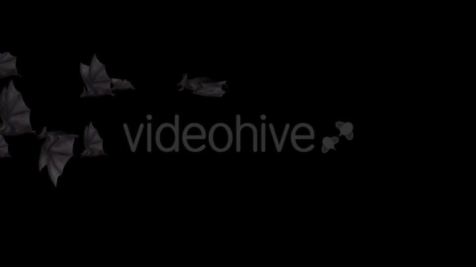 Flock of Bats Side Flying II Right to Left Videohive 18162795 Motion Graphics Image 7