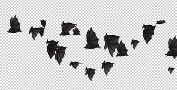 Flock of Bats Side Flying II Right to Left - Download Videohive 18162795