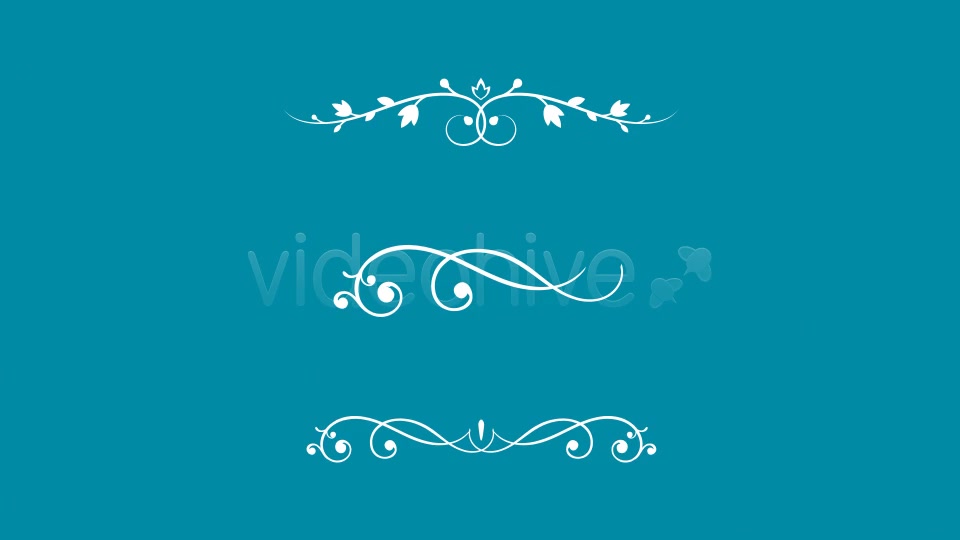 Flourish and Ornaments Pack Videohive 15946131 Motion Graphics Image 4