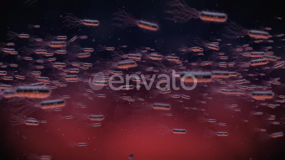 Flow Of Bacteria Videohive 22858375 Motion Graphics Image 1