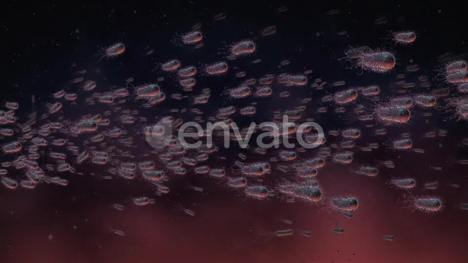 Flow Of Bacteria Videohive 22858375 Motion Graphics Image 10
