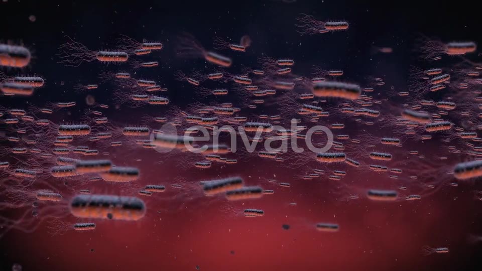 Flow Of Bacteria Videohive 22858375 Motion Graphics Image 2