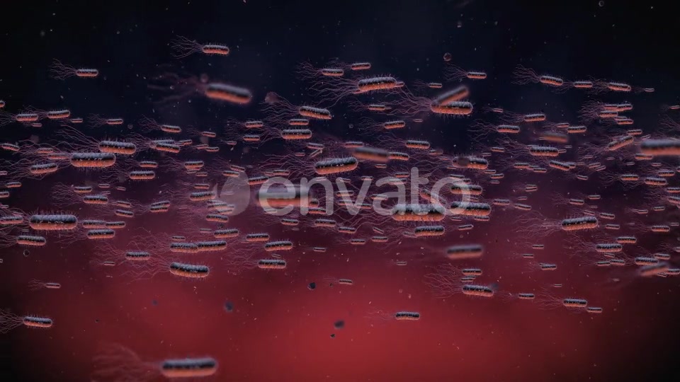 Flow Of Bacteria Videohive 22858375 Motion Graphics Image 3