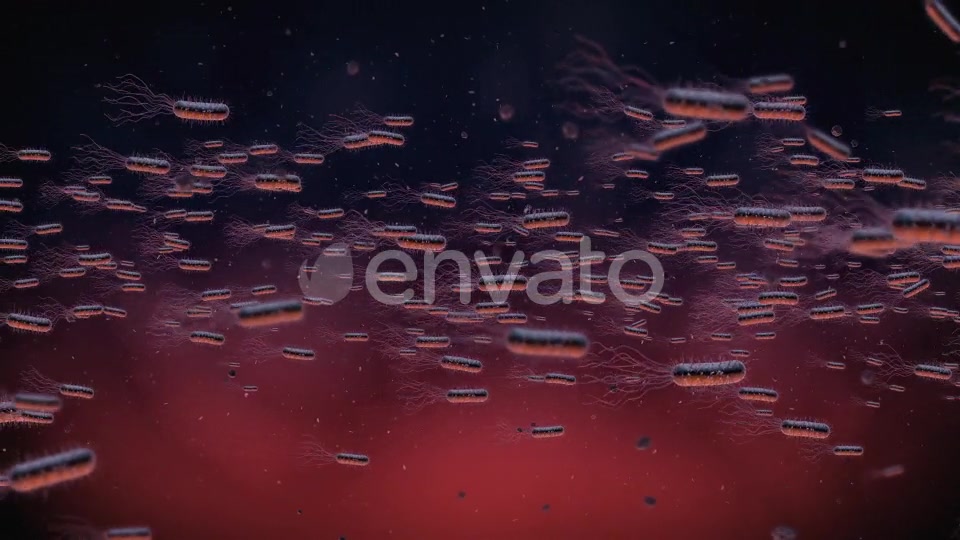 Flow Of Bacteria Videohive 22858375 Motion Graphics Image 4
