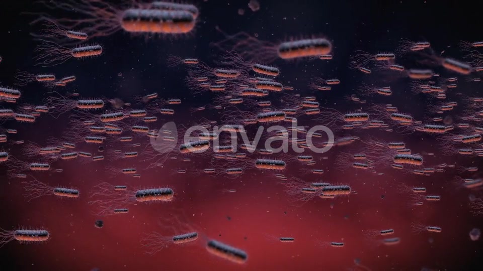 Flow Of Bacteria Videohive 22858375 Motion Graphics Image 5