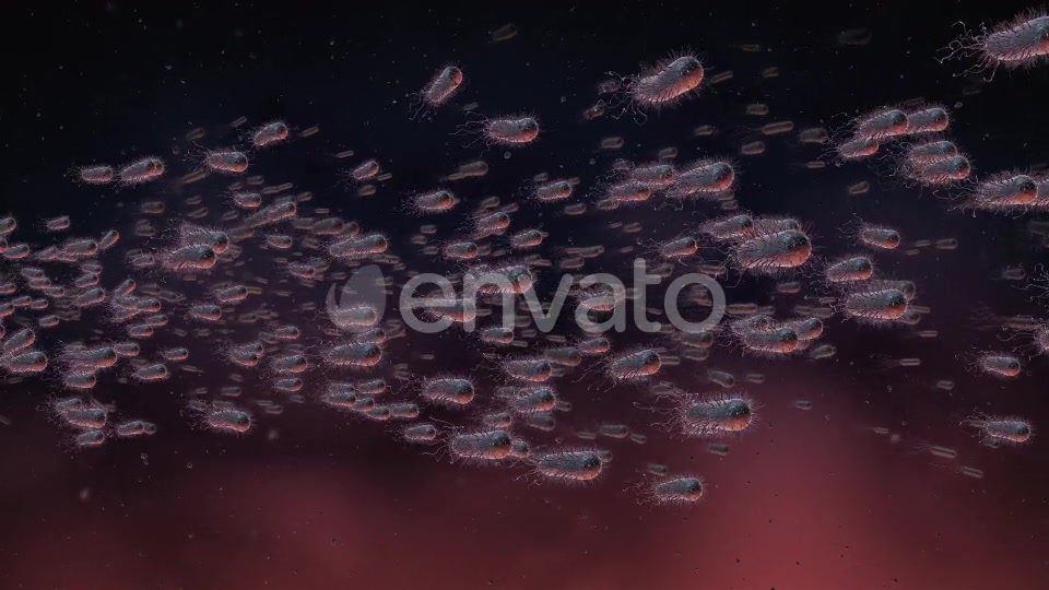Flow Of Bacteria Videohive 22858375 Motion Graphics Image 6