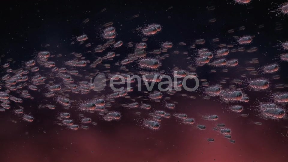 Flow Of Bacteria Videohive 22858375 Motion Graphics Image 7