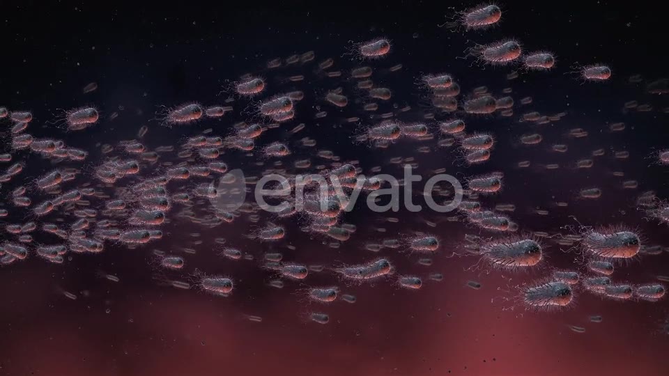 Flow Of Bacteria Videohive 22858375 Motion Graphics Image 8