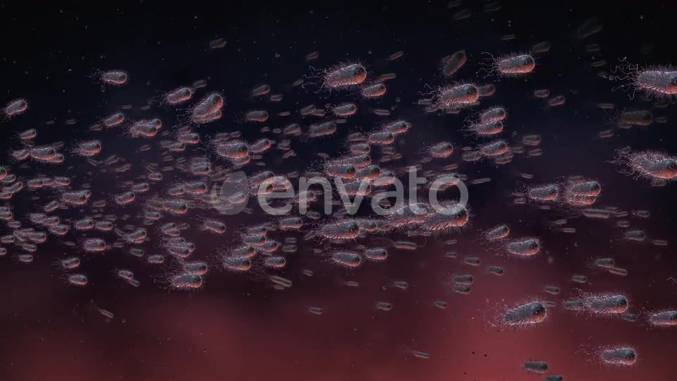 Flow Of Bacteria Videohive 22858375 Motion Graphics Image 9