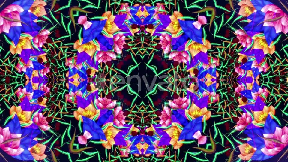 Flower Videohive 22955077 Motion Graphics Image 8