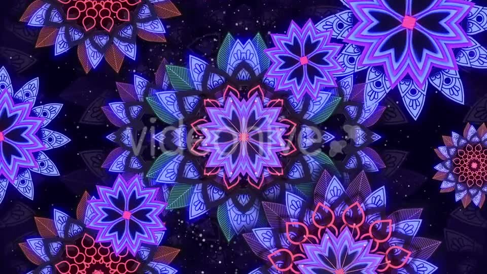 Flower Ethnic Videohive 20801549 Motion Graphics Image 7