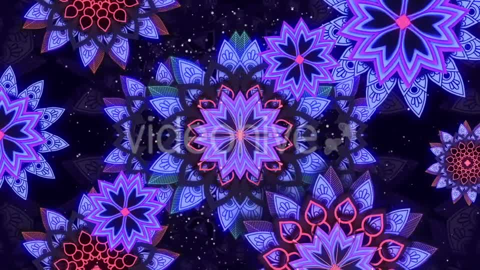 Flower Ethnic Videohive 20801549 Motion Graphics Image 8