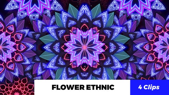 Flower Ethnic - Download 20801549 Videohive