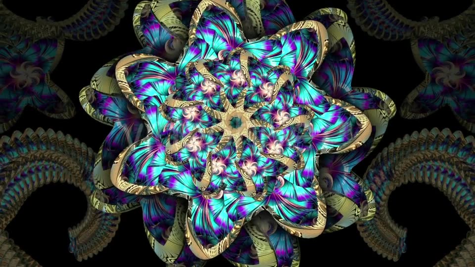 Flower Ethnic Videohive 21098287 Motion Graphics Image 3