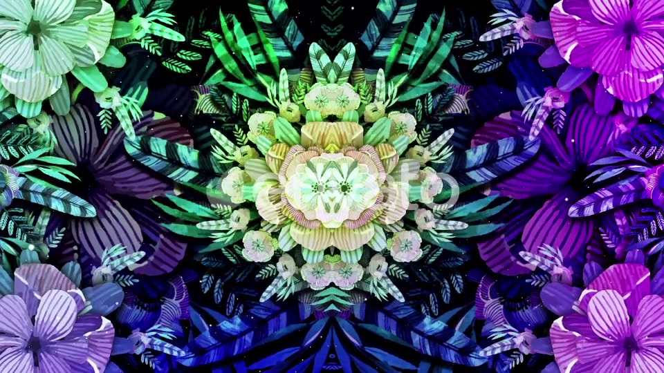 Flower Mandala Videohive 21952070 Motion Graphics Image 4