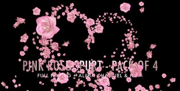 Flower Spurt Pink Rose Pack of 4 - Download 5428895 Videohive