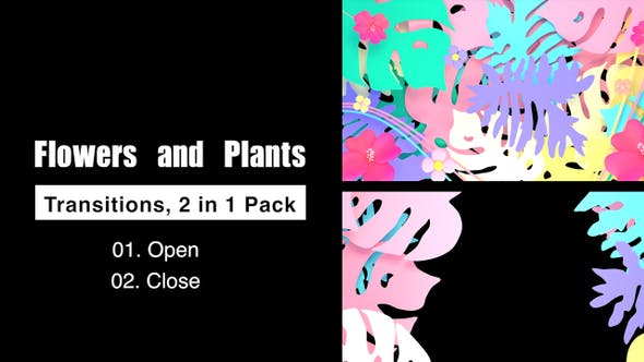 Flowers And Plants Transitions Pack - 23882163 Videohive Download