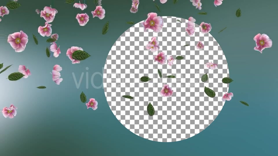 Flowers Falling Background Videohive 20071845 Motion Graphics Image 4