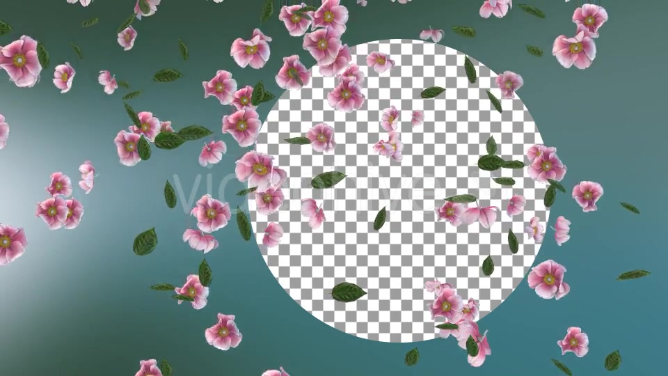 Flowers Falling Background Videohive 20071845 Motion Graphics Image 5