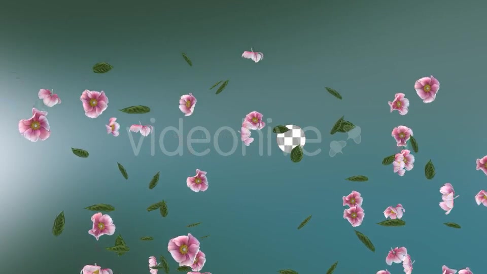 Flowers Falling Background Videohive 20071845 Motion Graphics Image 7