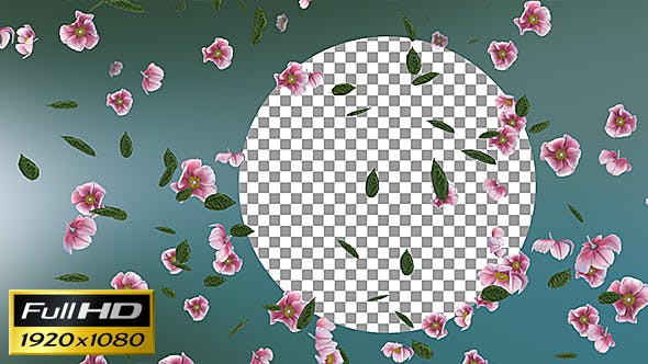 Flowers Falling Background - 20071845 Download Videohive