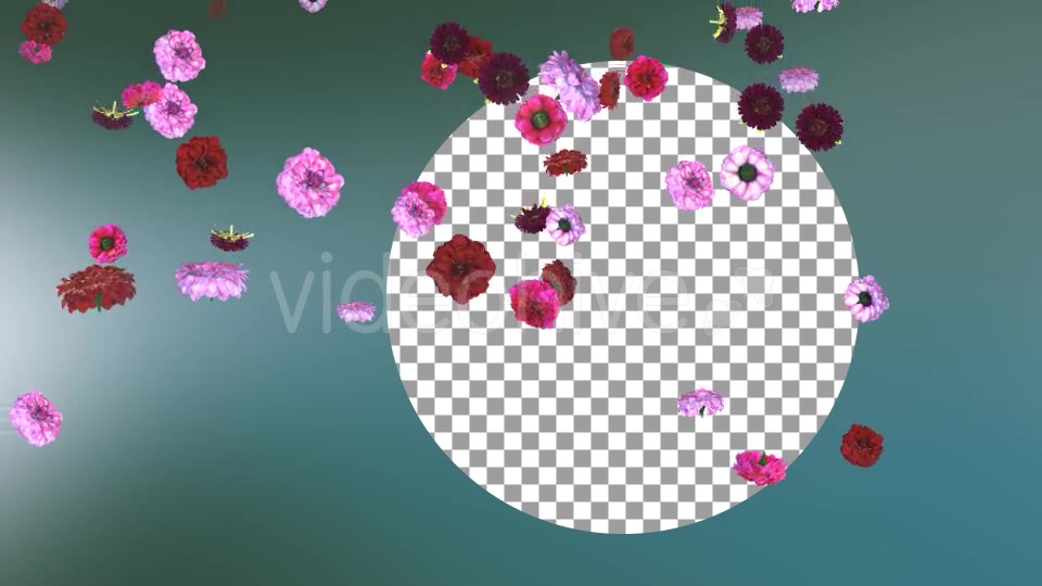 Flowers Falling Background Videohive 20071734 Motion Graphics Image 4