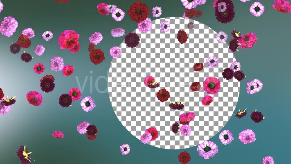 Flowers Falling Background Videohive 20071734 Motion Graphics Image 5