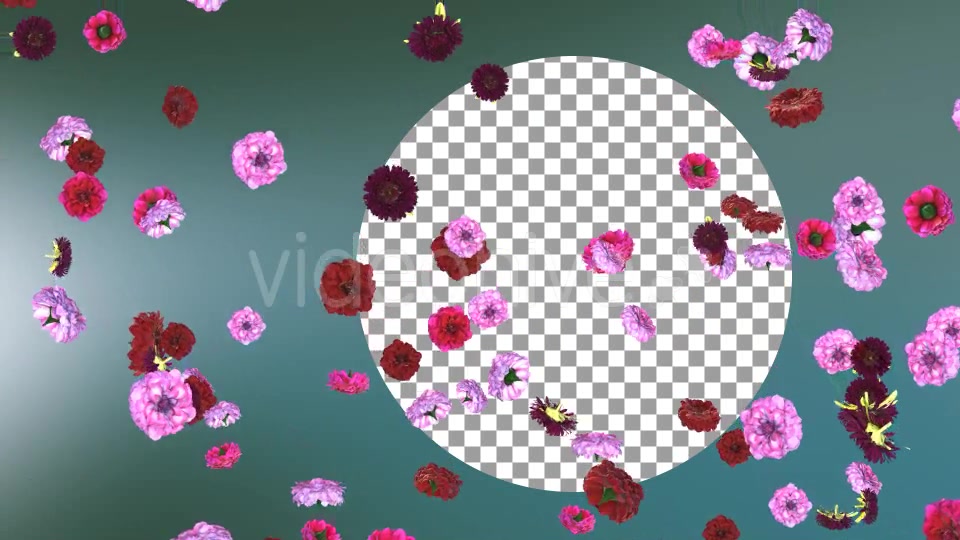 Flowers Falling Background Videohive 20071734 Motion Graphics Image 6